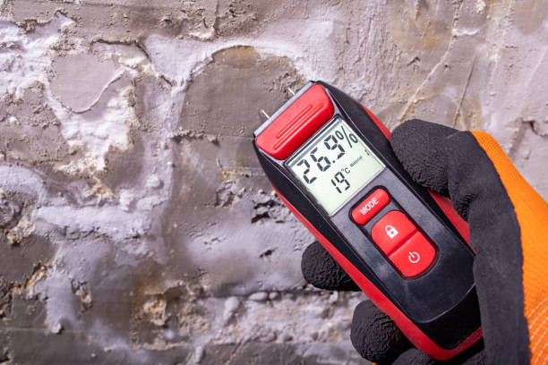 Best Mold Removal Company Near Me  in Hackleburg, AL