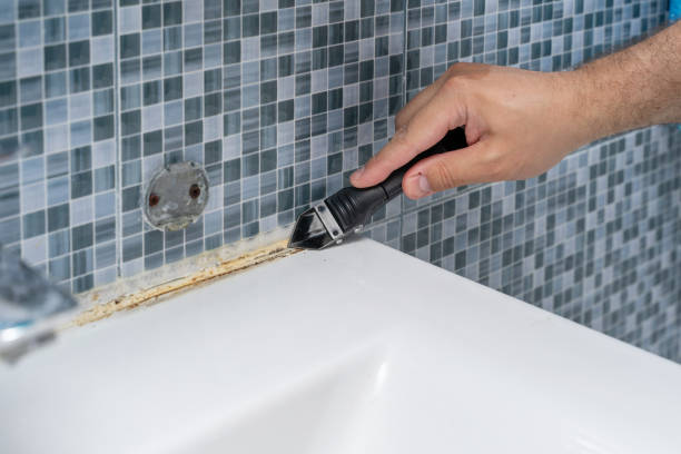 Best Attic Mold Removal  in Hackleburg, AL