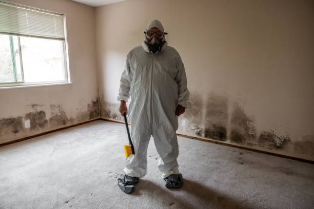 Best Emergency Mold Removal  in Hackleburg, AL